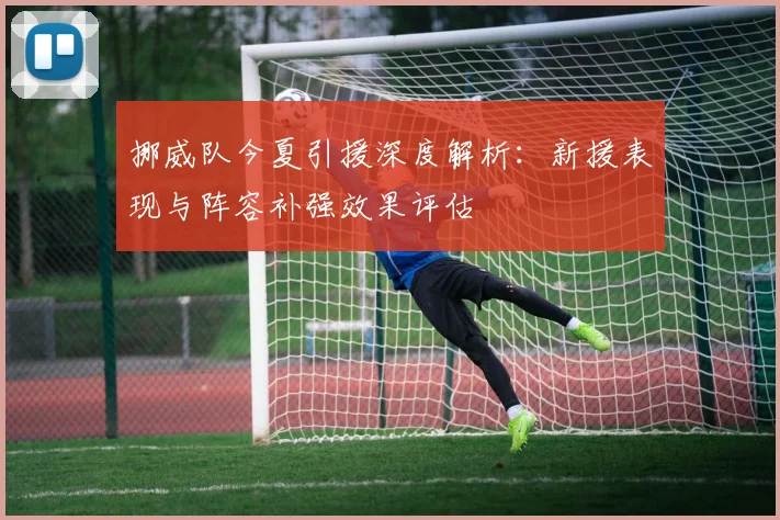挪威队今夏引援深度解析:新援表现与阵容补强效果评估